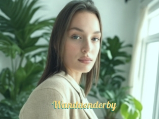 Wandaenderby