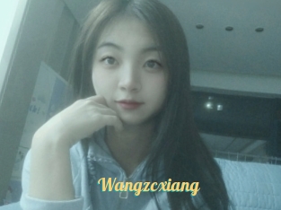 Wangzcxiang