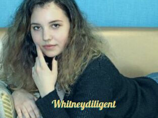 Whitneydiligent