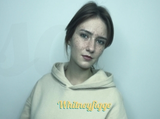 Whitneyfigge