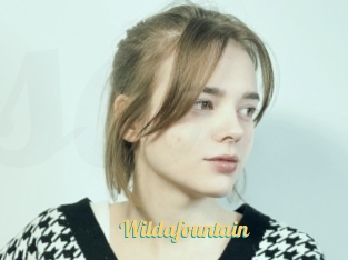 Wildafountain