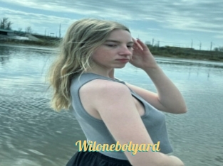 Wilonebolyard
