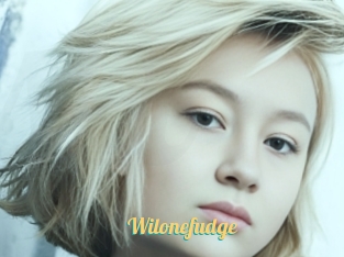 Wilonefudge