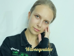 Wilonegoulder