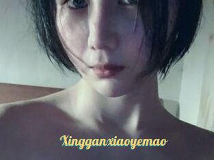 Xingganxiaoyemao