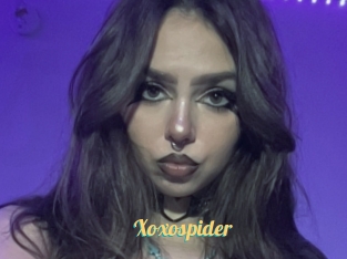 Xoxospider