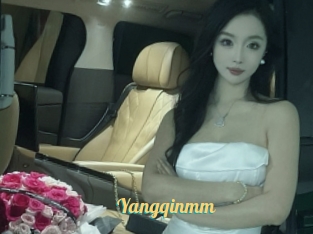 Yangqinmm