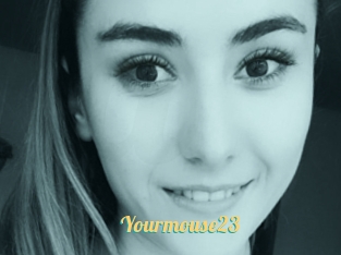 Yourmouse23