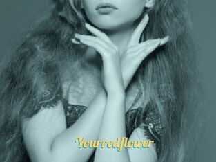 Yourredflower