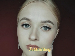 Zeldadilley