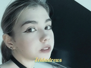 Zeldadrews