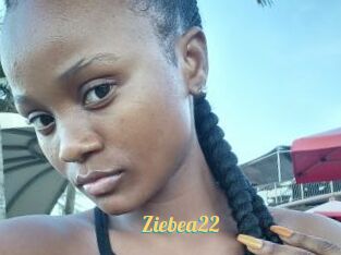 Ziebea22